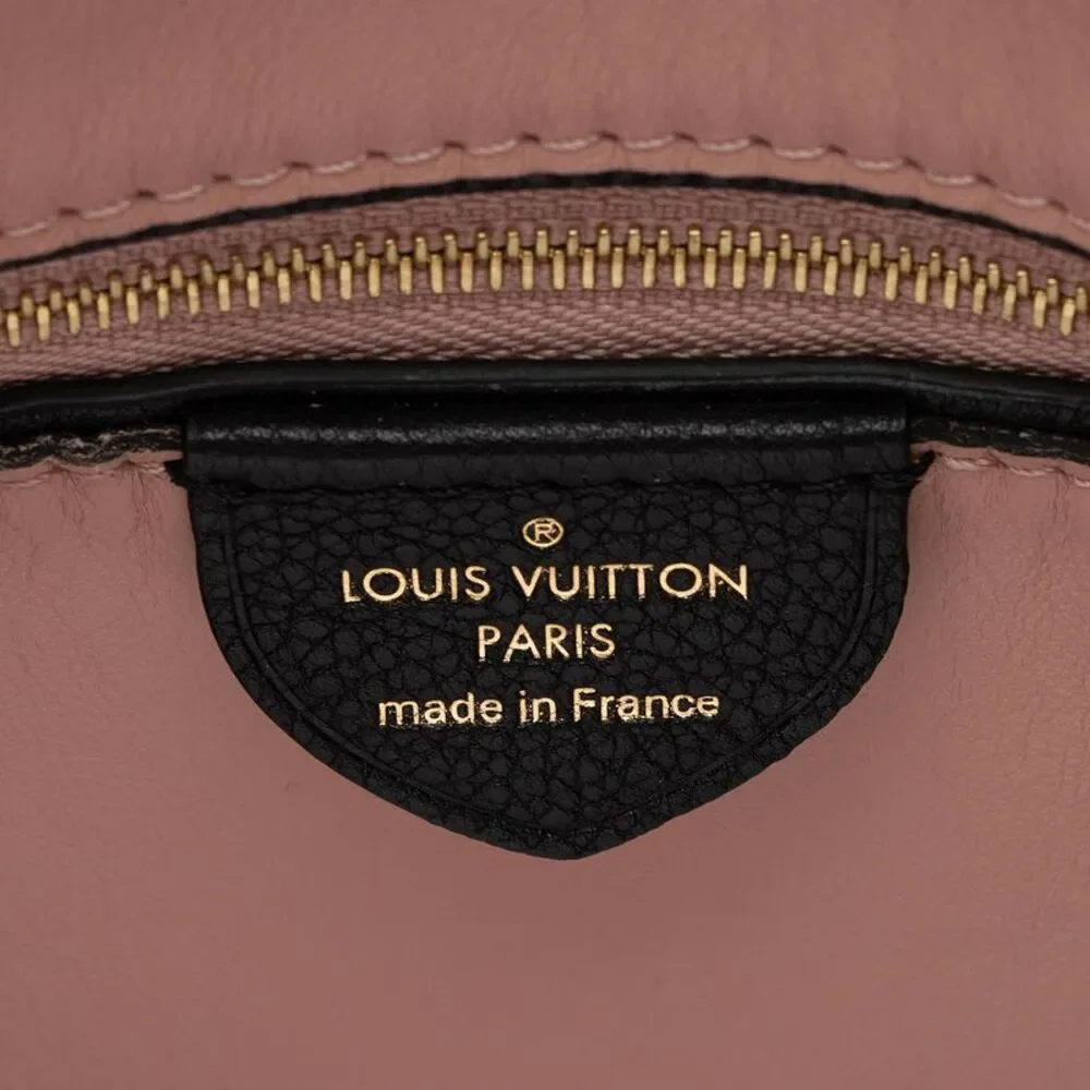 Louis Vuitton Calfskin Tournon Hobo